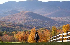 Bebe coming up the autumn hillside on Willie