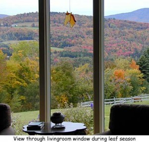Fall view from the livingroom